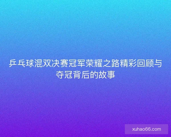 乒乓球混双决赛冠军荣耀之路精彩回顾与夺冠背后的故事